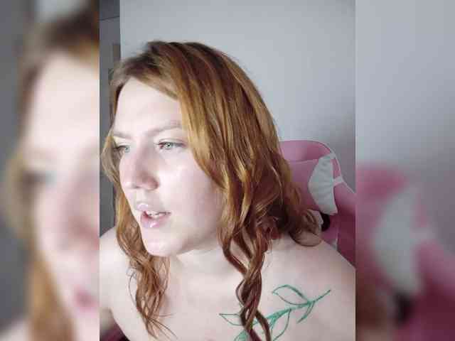 DollVice webcam