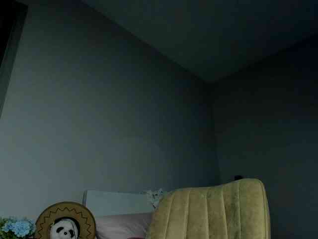 m1sss1nful webcam