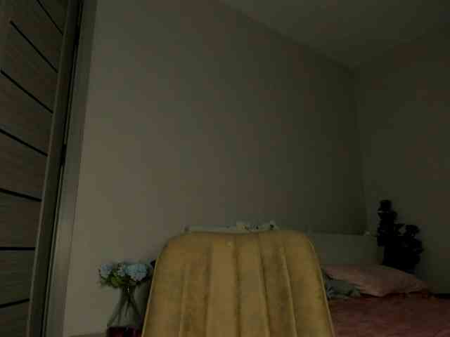 m1sss1nful webcam