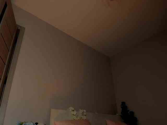 m1sss1nful webcam