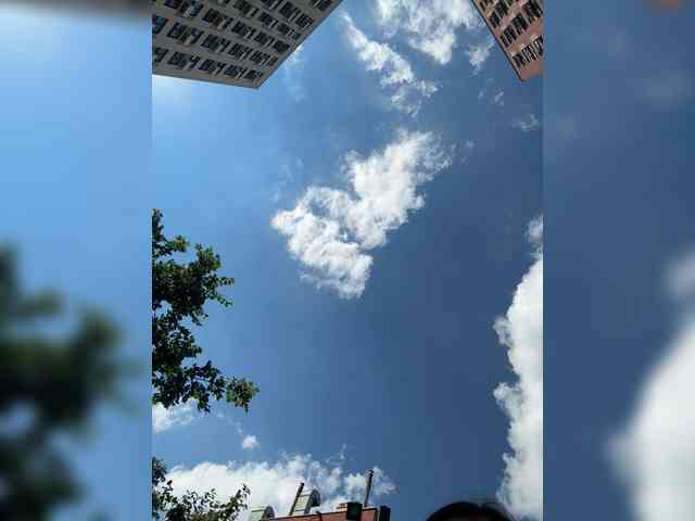 theBESTorNOTHING