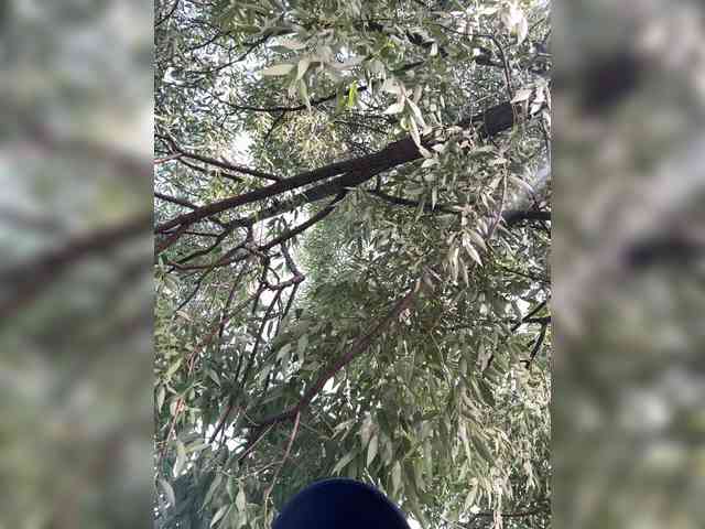 theBESTorNOTHING