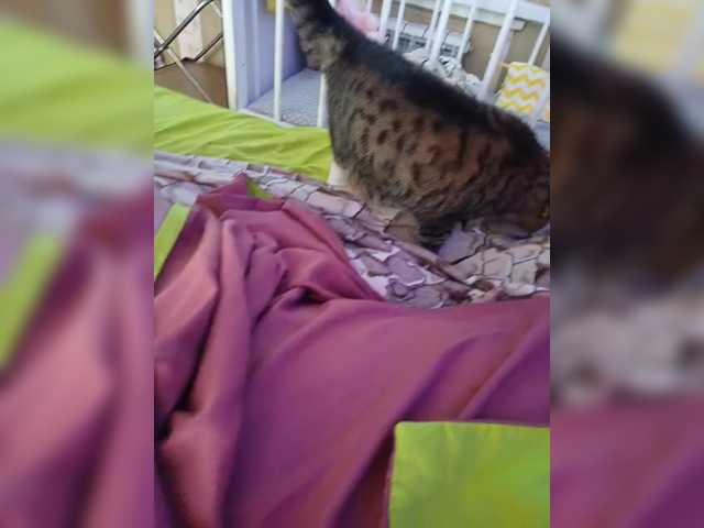KETTY-3