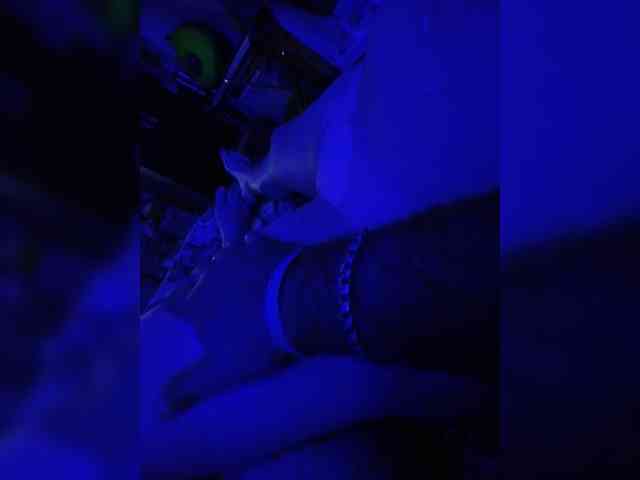 KETTY-3 webcam