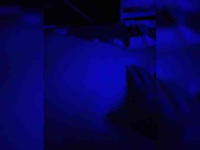 KETTY-3 webcam
