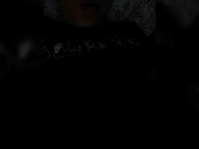 Lostflex