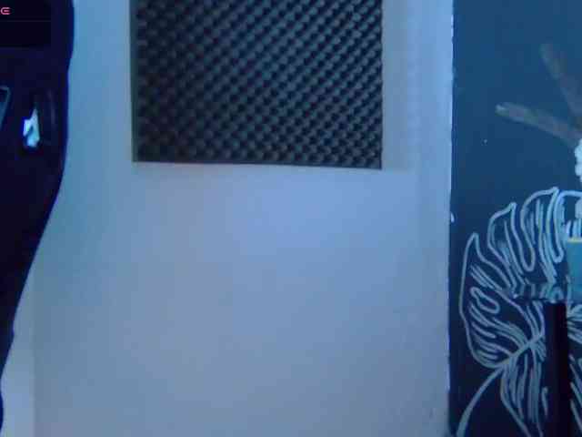 Blondie-Noir webcam