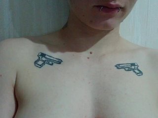 DENISA2-1