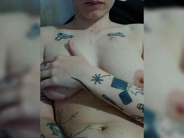DENISA2-1 webcam