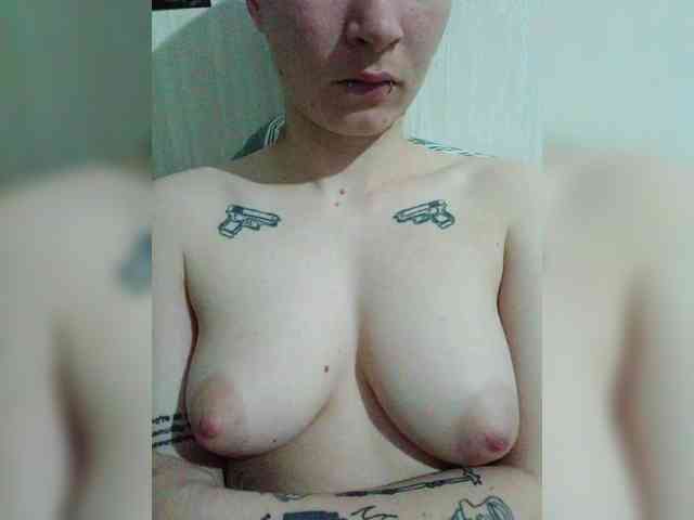 DENISA2-1 webcam