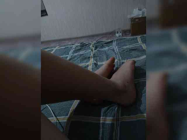 DENISA2-1 webcam