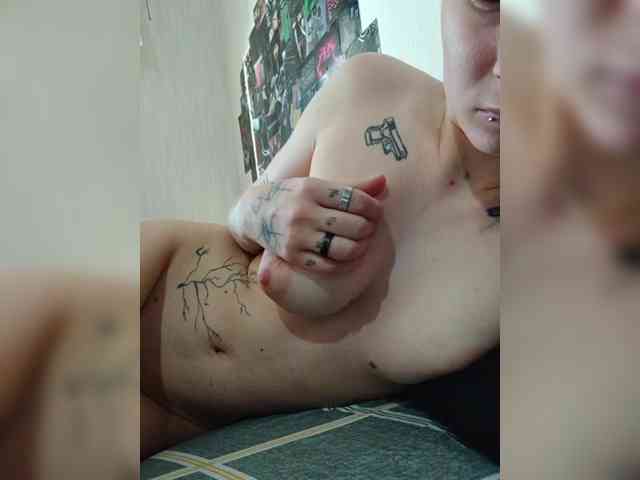 DENISA2-1 webcam