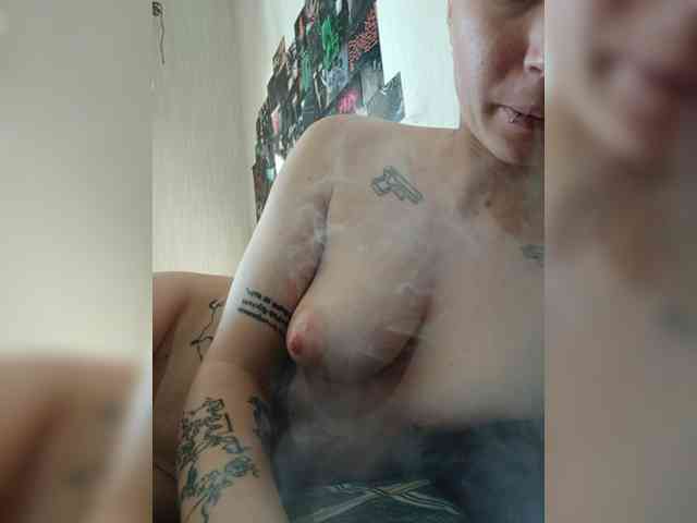 DENISA2-1 webcam