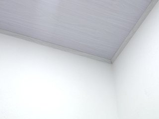 Estefani-R