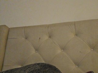 Estefani-R Porn Show