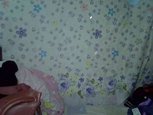 picachou webcam
