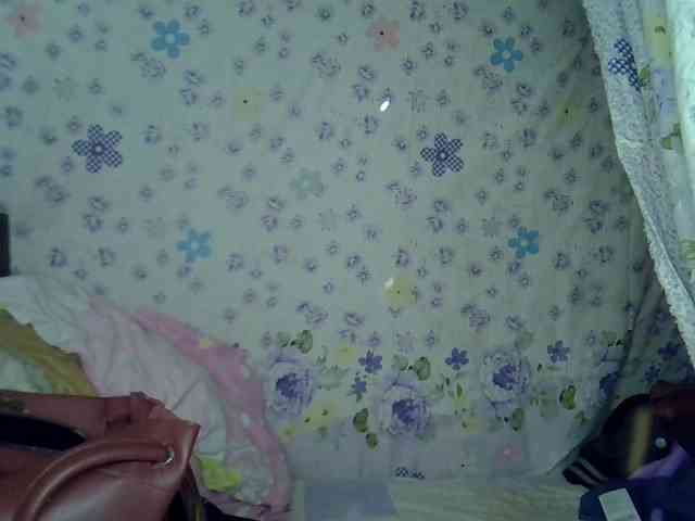 picachou webcam