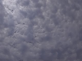 NigerianBlackBeauty's Live Webcam