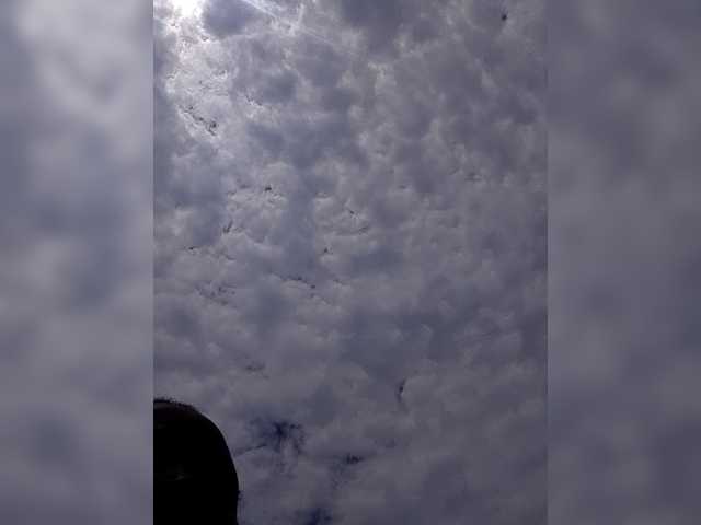 Nigeriamostbeautiful's BongaCams show and profile