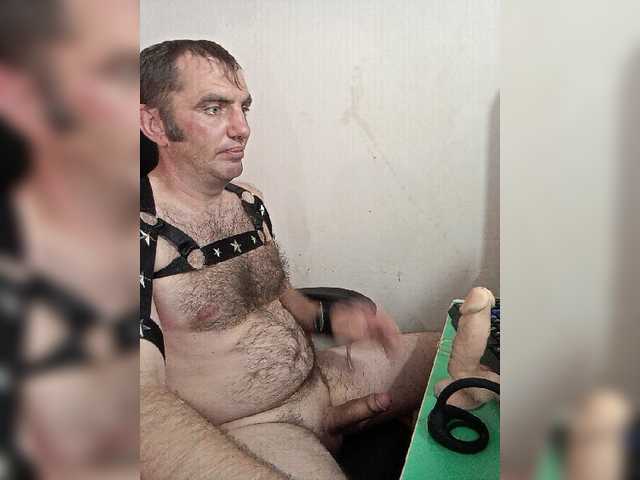 Alexy2025