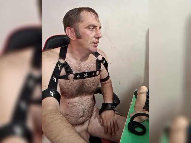 Alexy2025