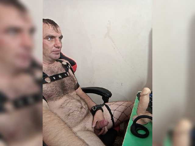 Alexy2025