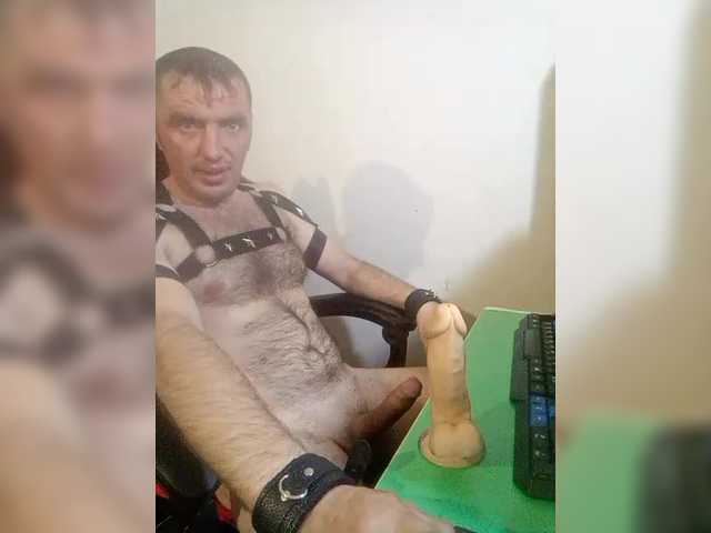 Alexy2025