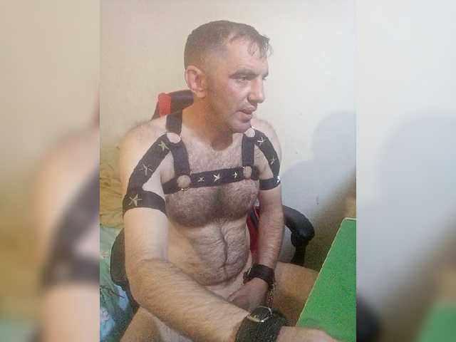 Alexy2025