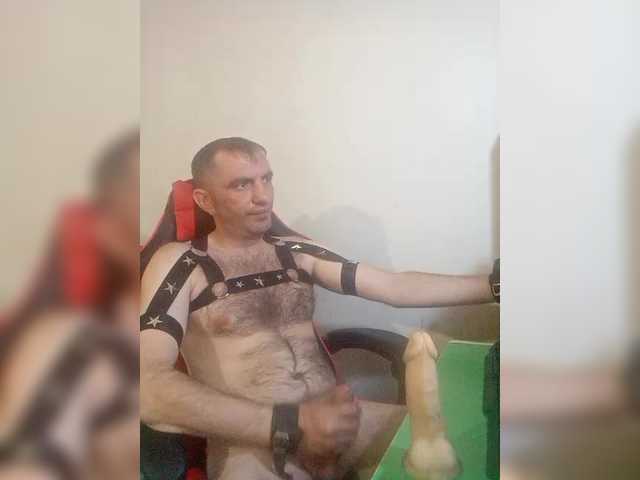 Alexy2025