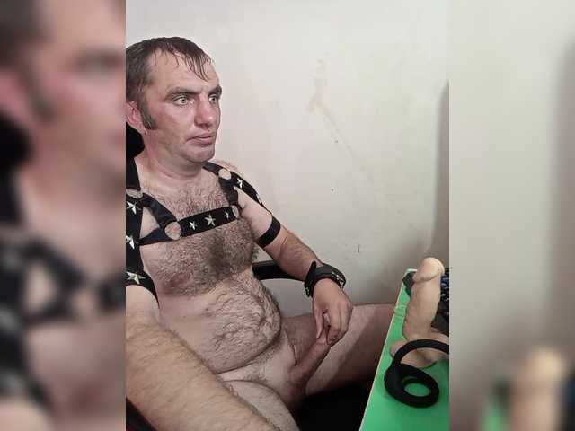 Alexy2025