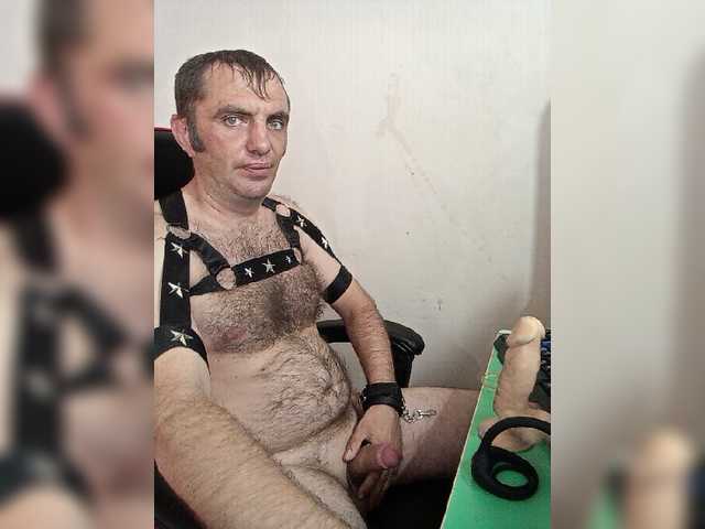 Alexy2025
