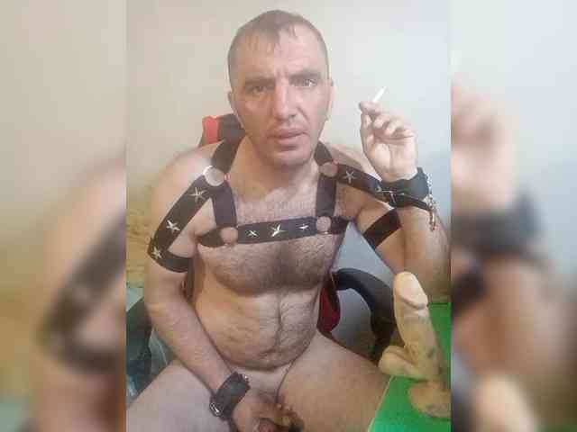 Alexy2025