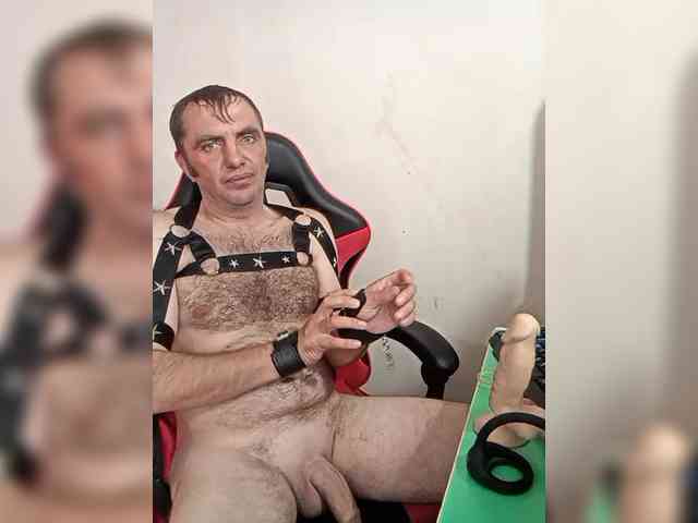 Alexy2025