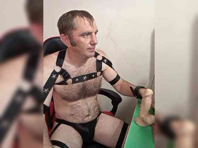 Alexy2025