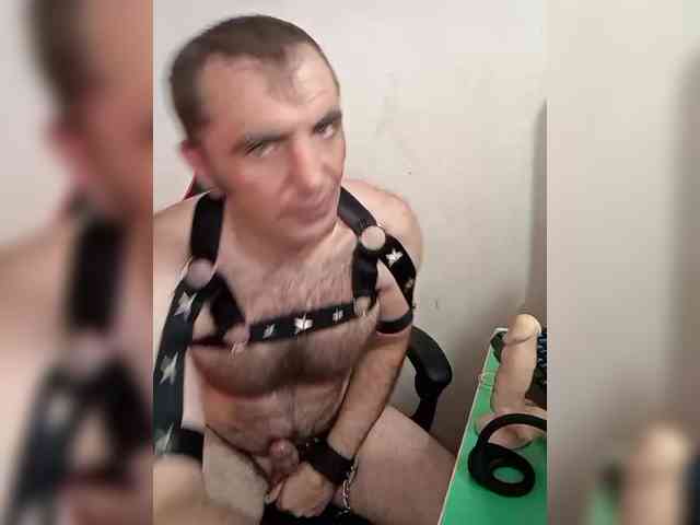 Alexy2025