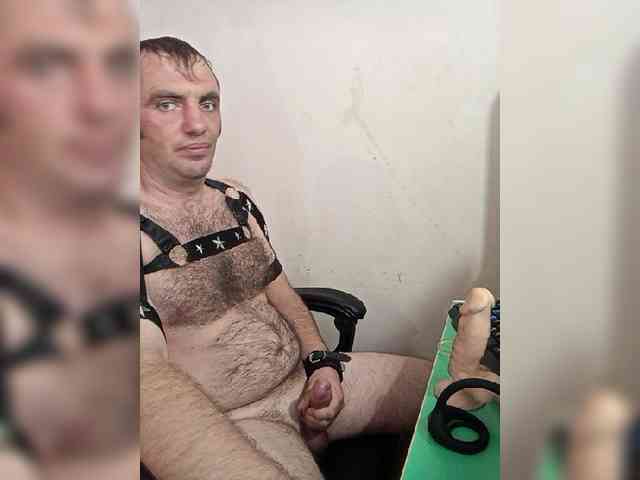 Alexy2025