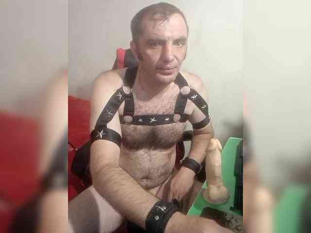 Alexy2025