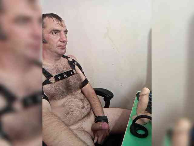 Alexy2025