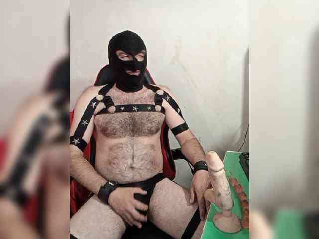 Alexy2025