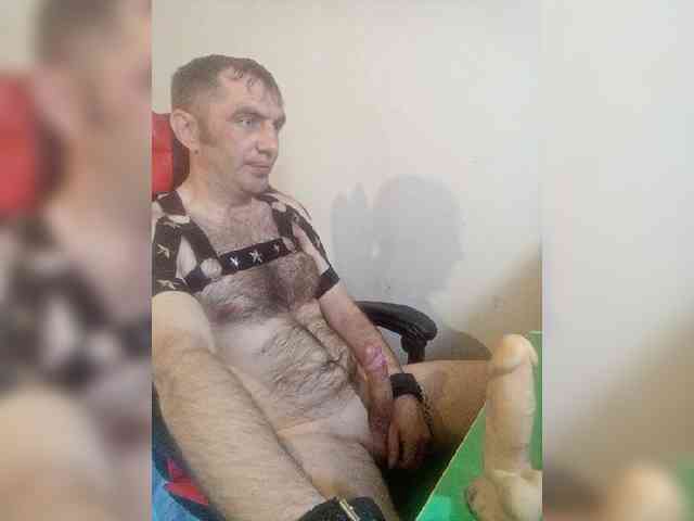Alexy2025