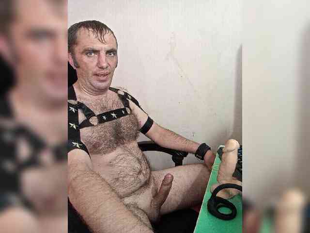 Alexy2025