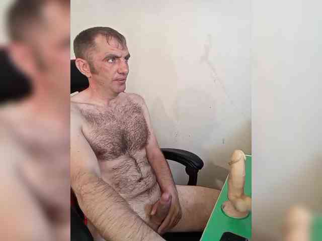 Alexy2025