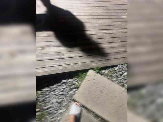 VolnaV webcam
