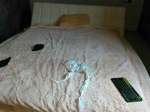 KeitPrincess Live Webcam on BongaCams