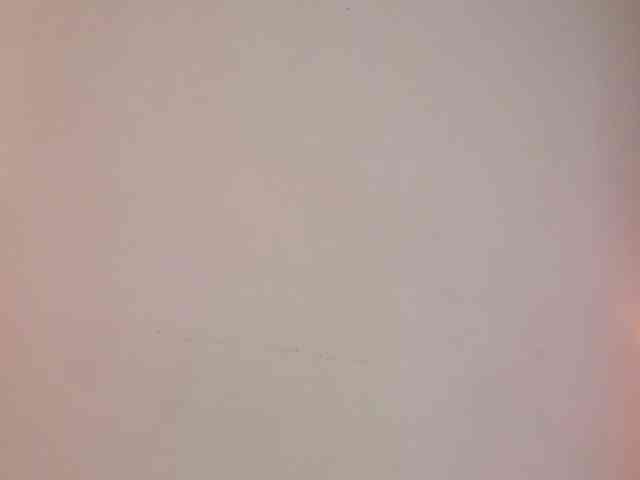 lady-virtual webcam