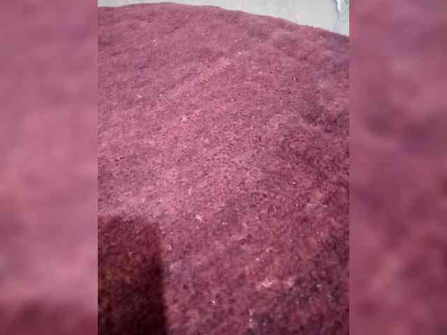 Yana25252525 webcam