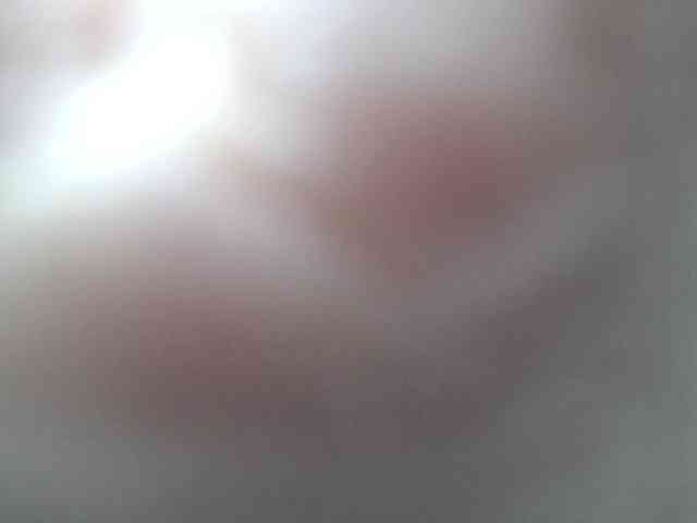 SalaChan webcam