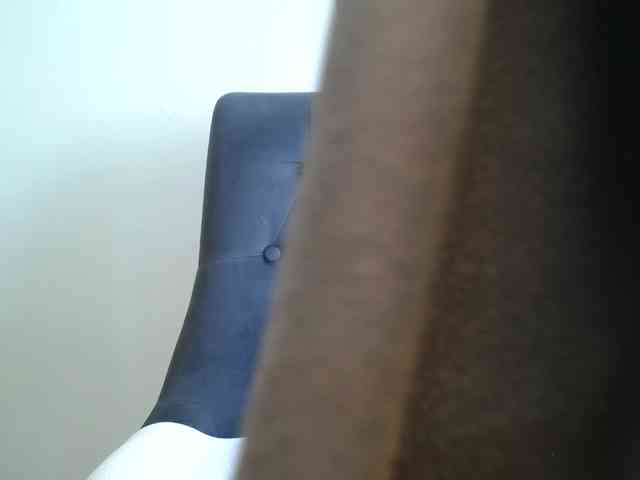 SalaChan webcam