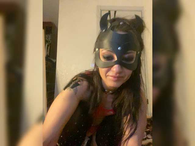 FoxAlice2026