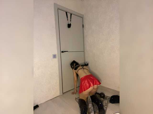 эросцена FoxAlice2026